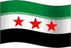 Syria Flag GIF, free CC0