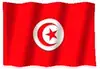 Tunisia Flag GIF, free CC0