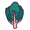 Collard Icon