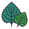 Perilla