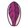 Radicchio Icon