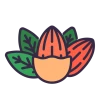 Almonds Icon