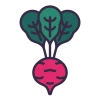 Beetroot
