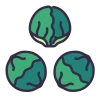 Brussel Sprouts Icon