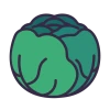 Cabbage Icon