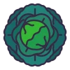 Cabbage Icon