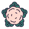 Cauliflower Icon