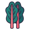 Chard