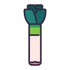 Leek