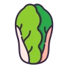 Lettuce Icon