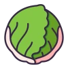 Lettuce