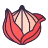 Onion