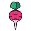 Radish
