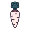 Icône Radish