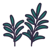 Rosemary