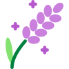 Lavender Icon, free CC0