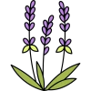 Lavender Icon, free CC0