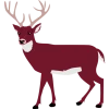 Antelope Illustration Icon, free CC0