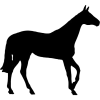 Black Horse Silhouette Icon, free CC0