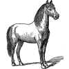 Horse Illustration Icon, kostenlos CC0
