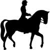 Horse Rider Icon, free CC0
