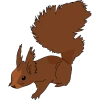 Squirrel Icon, free CC0