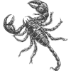 Scorpion Illustration Icon, free CC0