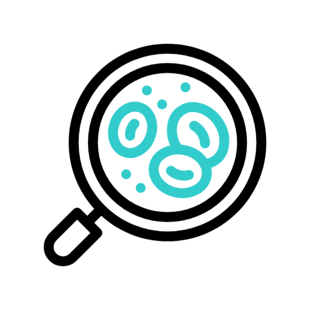 Red Blood Cells GIF, free CC0