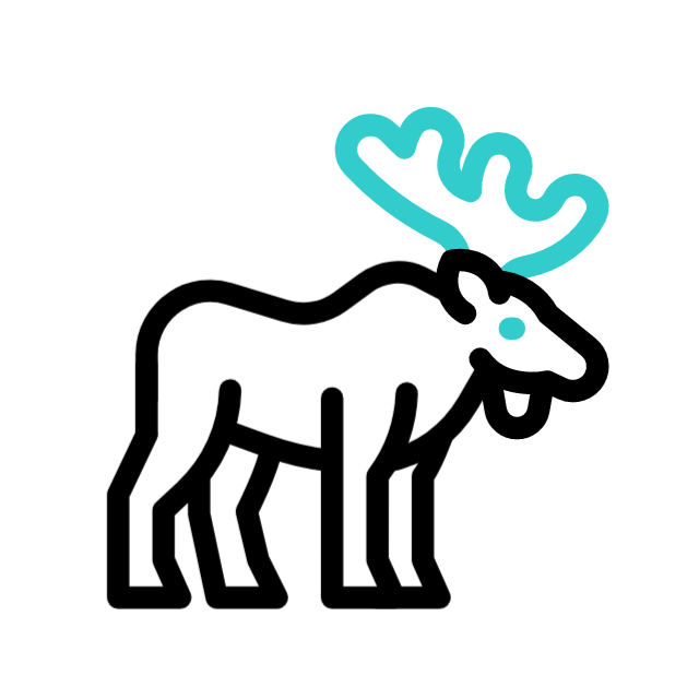 Moose GIF, free CC0