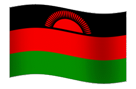 Malawi Flag GIF, free CC0