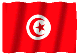 Tunisia Flag GIF, free CC0