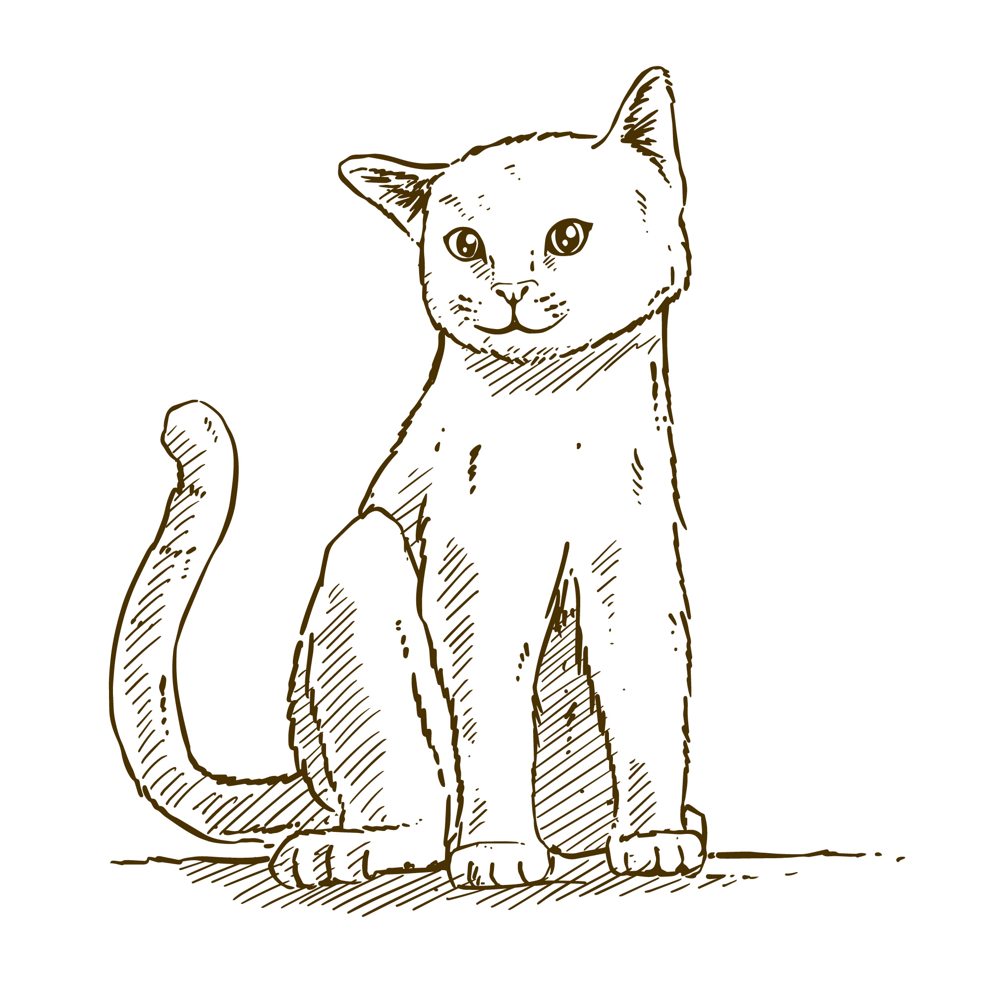White Cat