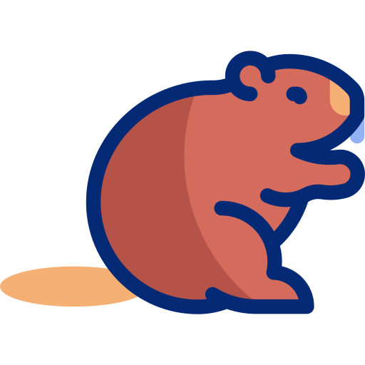 Beaver