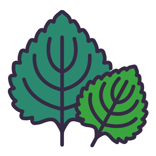 Perilla