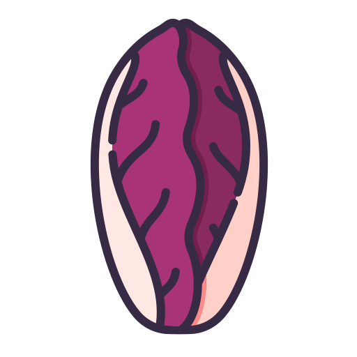 Radicchio