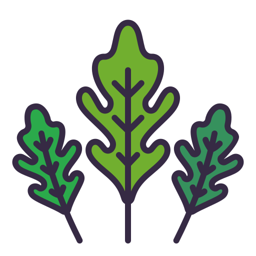 Arugula
