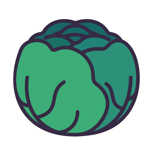 Cabbage