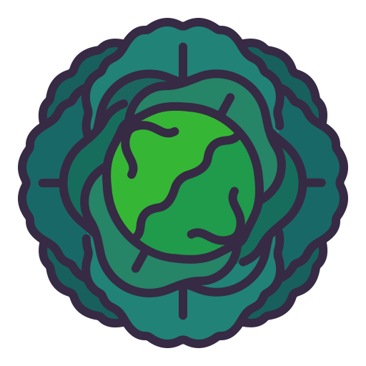 Cabbage