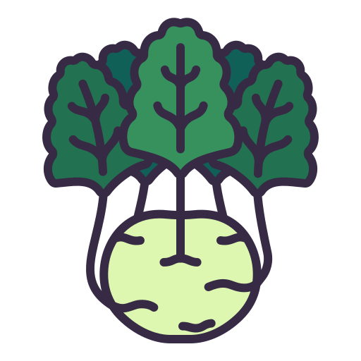 Kohlrabi
