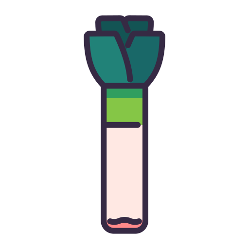 Leek