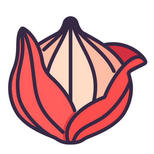 Onion