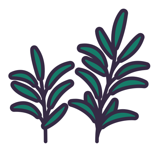 Rosemary