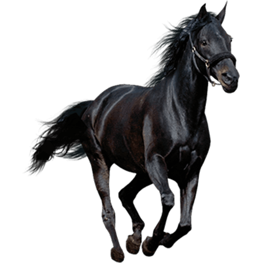 Galloping Horse Realistic Icon Icon, kostenlos CC0