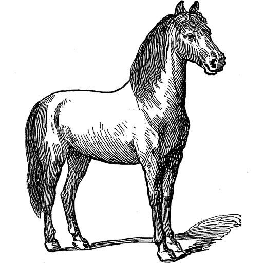 Icono Horse Illustration, gratis CC0