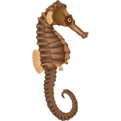 Seahorse Icon, free CC0