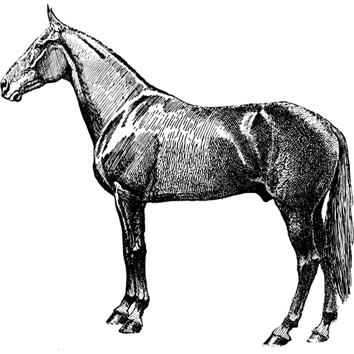 Vintage Horse Silhouette Icon, free CC0