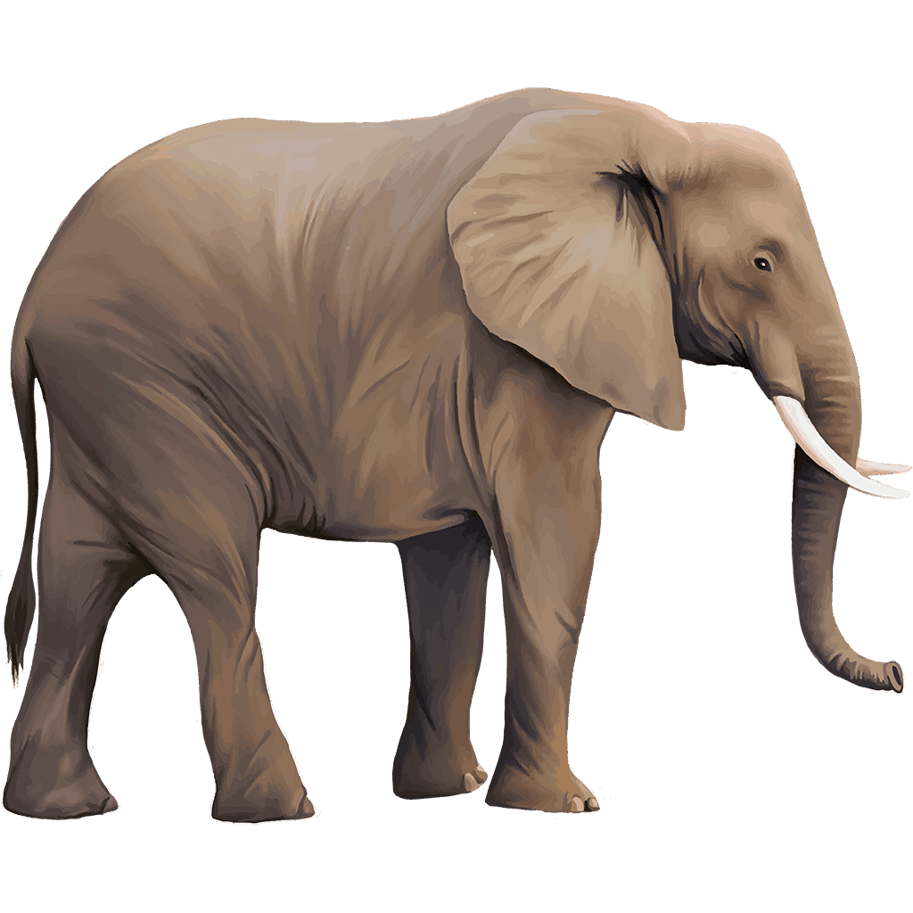 Elephant Icon, free CC0