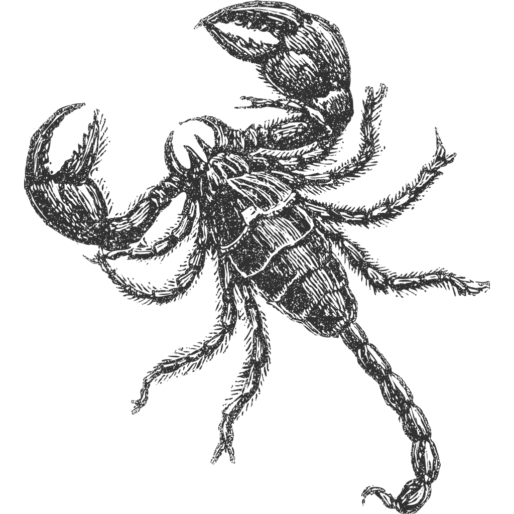 Scorpion Illustration Icon, free CC0